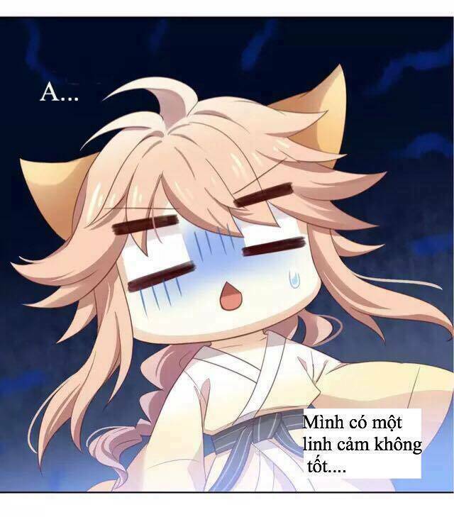 Dưới Móng Vuốt Mèo: Chapter 16