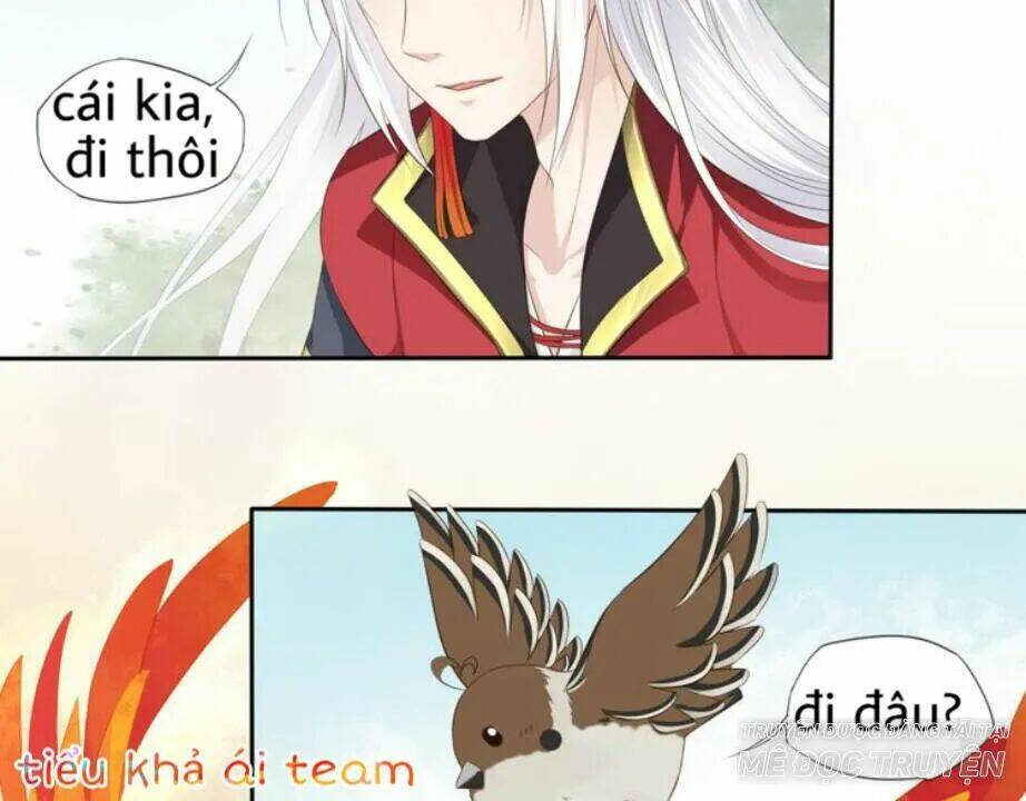 Tước Kiều Tiên: Chapter 2.1