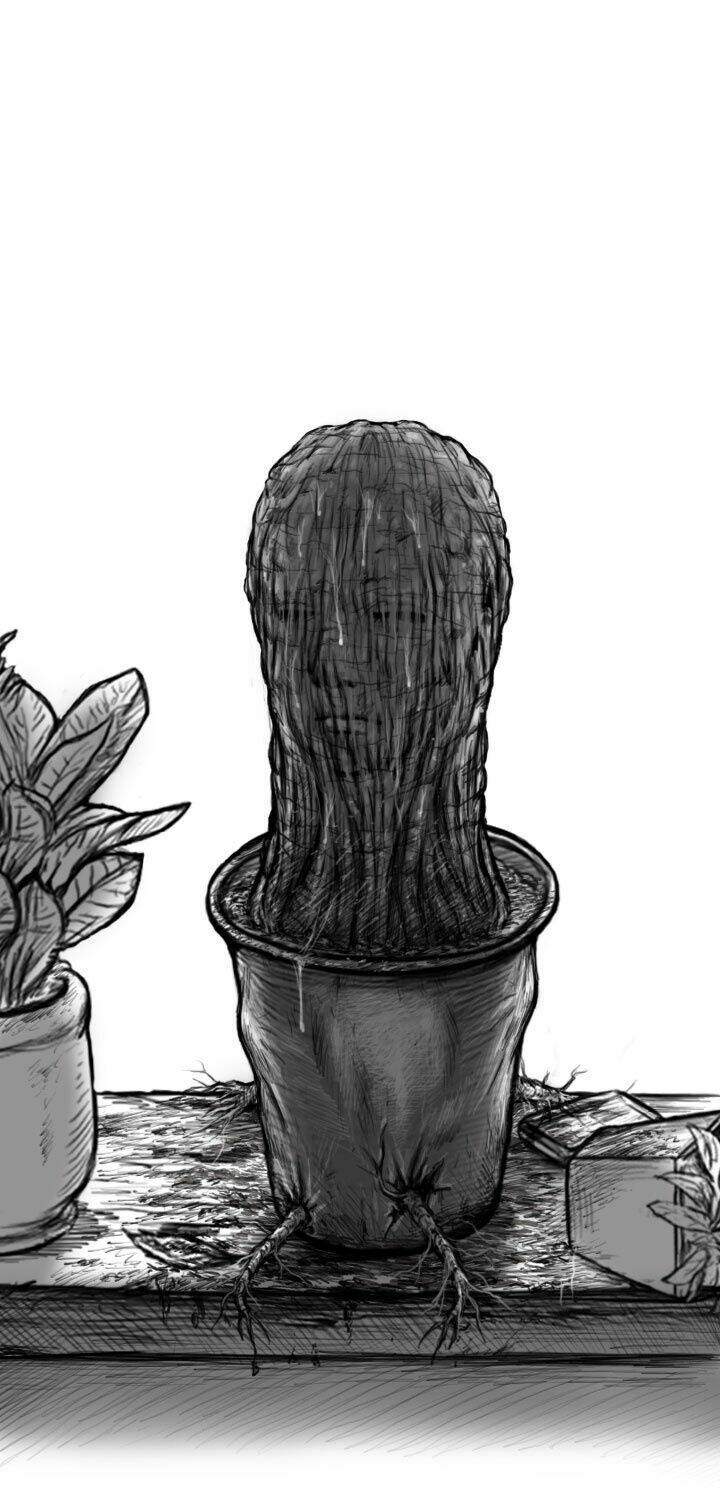 Hạt Giống Mỹ Nhân: Chapter 5