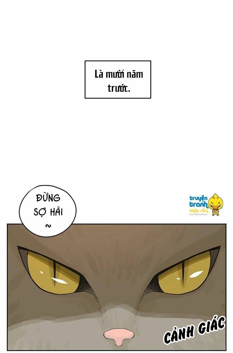 Cứu Mạng! Loài Mèo Thống Trị Thế Giới Rồi!: Chapter 24