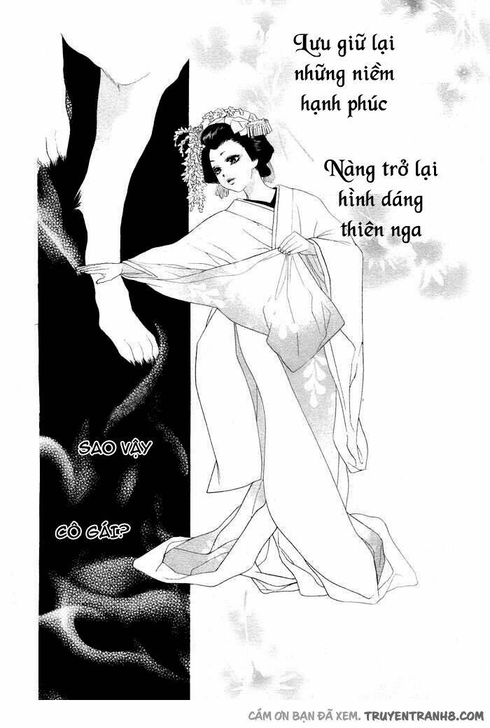 Orange Chocolate: Chapter 7