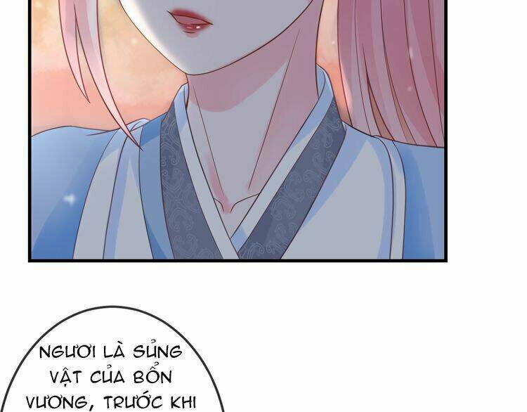 Báo Cáo Vương Gia, Vương Phi Là Một Con Mèo: Chapter 3