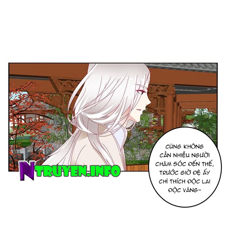 Thông Linh Phi: Chapter 403