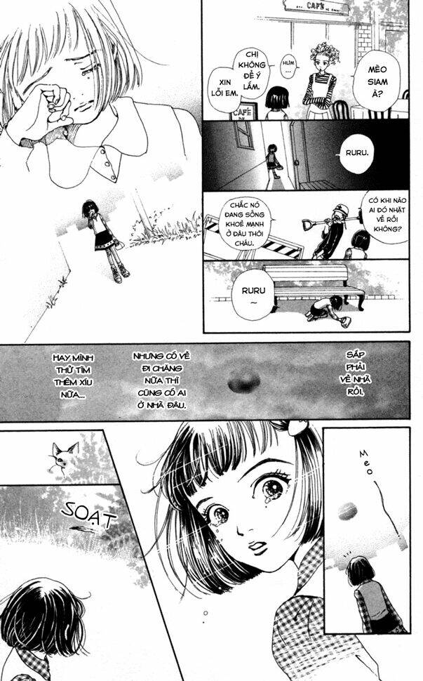 Last Quarter: Chapter 2