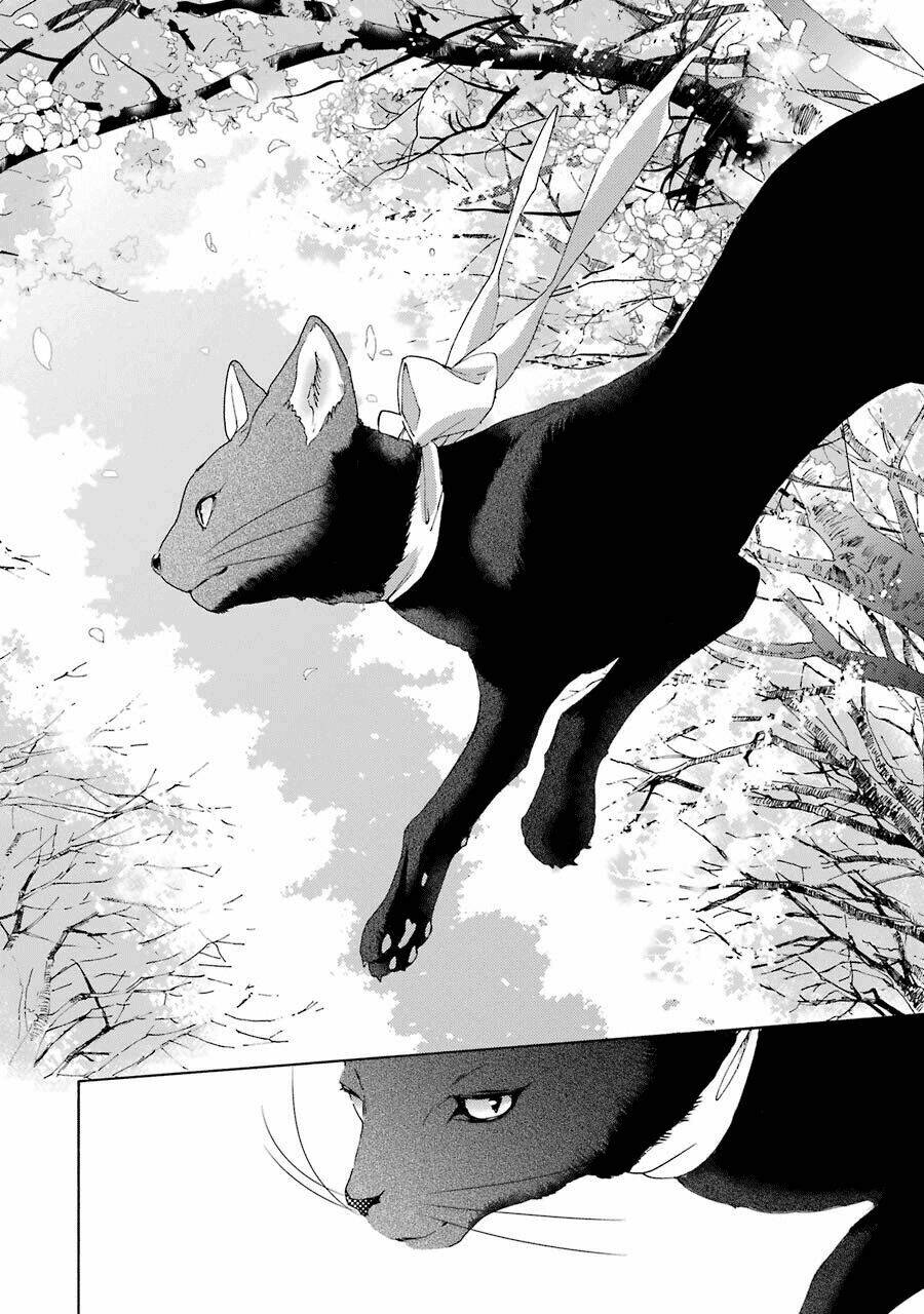 Bạn Cùng Lớp Của Shiraishi-Kun: Chapter 1