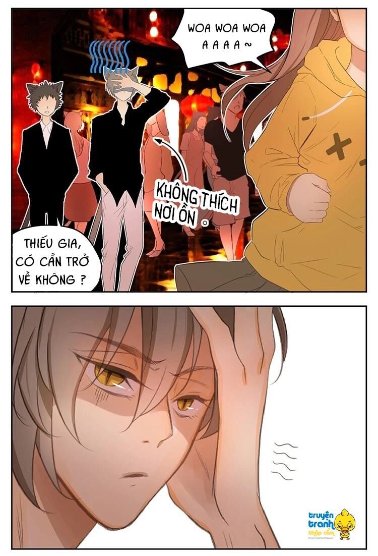 Cứu mạng ! Loài mèo thống trị thế giới rồi !: Chapter 22