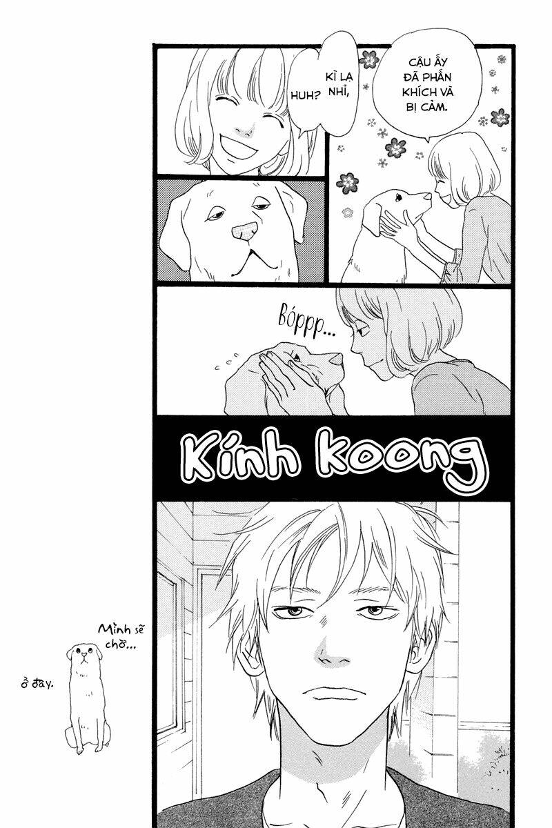 Principal: Chapter 13