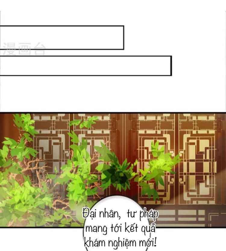 Yêu Tam Dẫn: Chapter 1