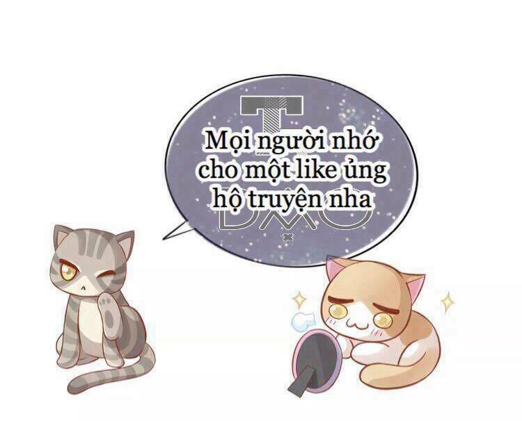 Dưới Móng Vuốt Mèo: Chapter 18