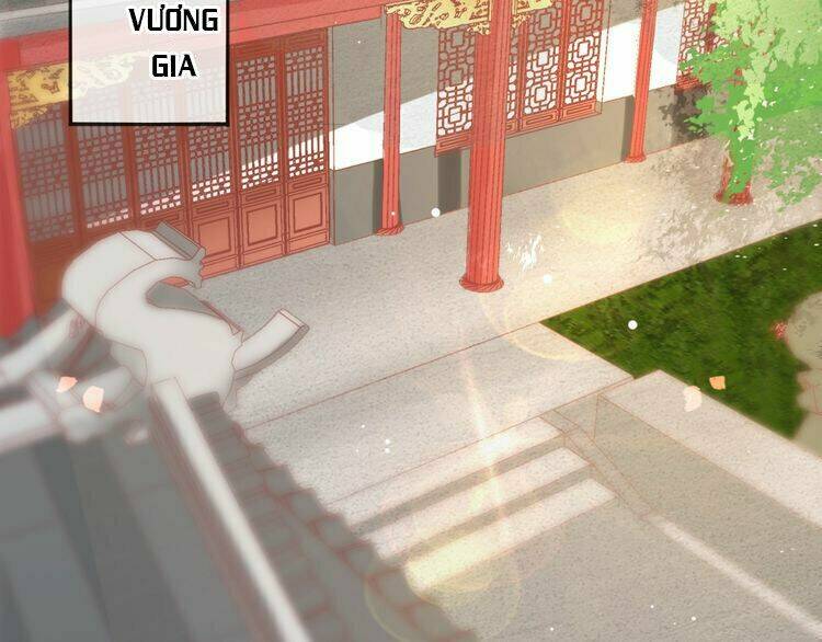 Báo Cáo Vương Gia, Vương Phi Là Một Con Mèo: Chapter 3