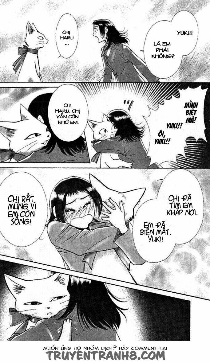 Lời Thì Thầm Từ Trái Tim: Chapter 8