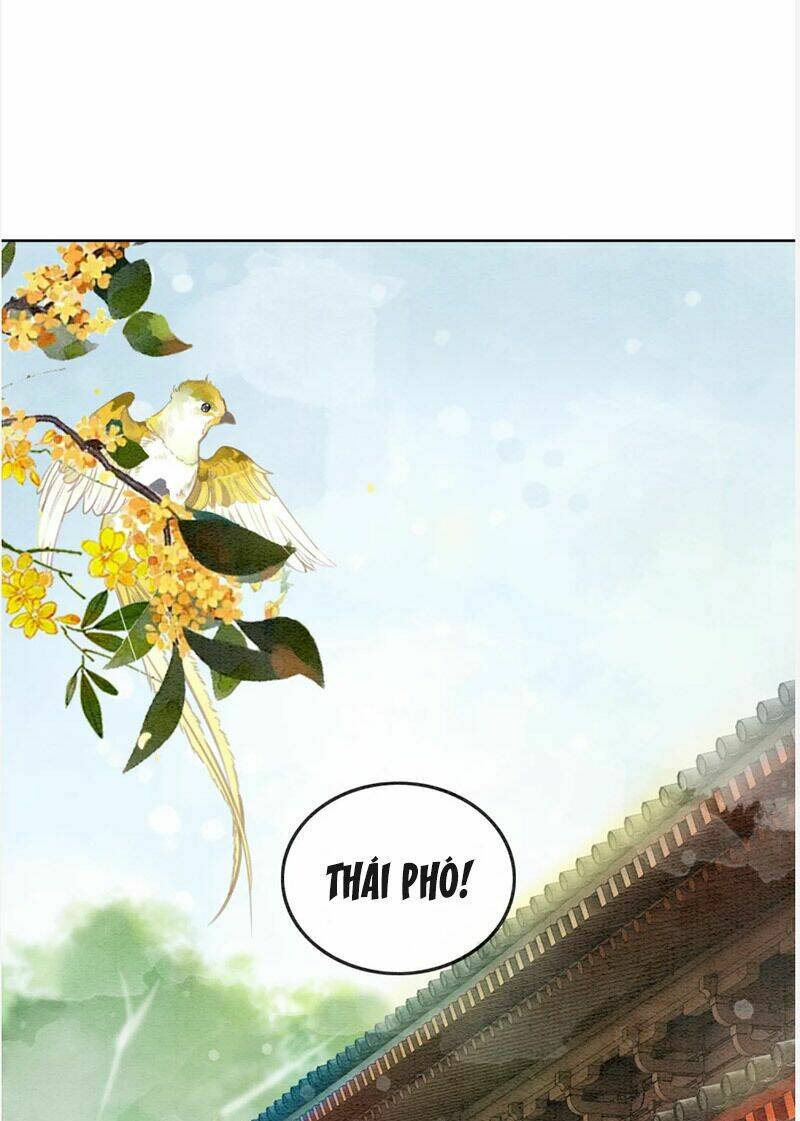 Hậu Cung Của Trẫm Cháy Rồi!: Chapter 77