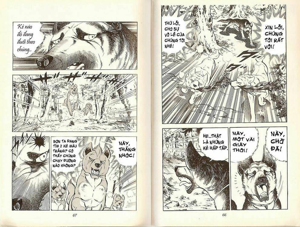 Chú Chó Có Nghĩa - Ginga Nagareboshi Gin: Chapter 19