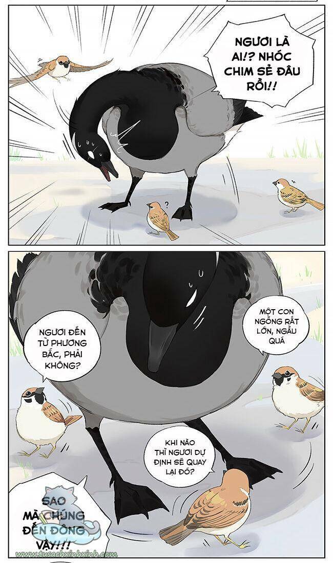 Chim Sẻ Gọi Ngỗng Trời: Chapter 9