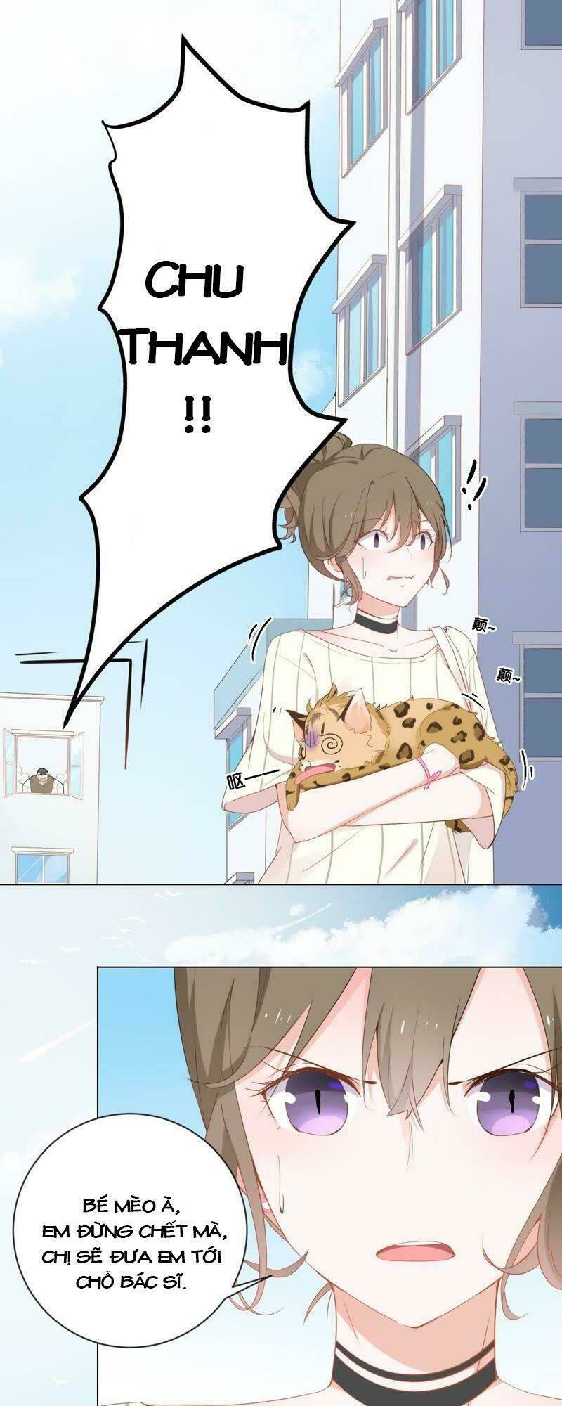 Thập Nhị Hắc Miêu: Chapter 1