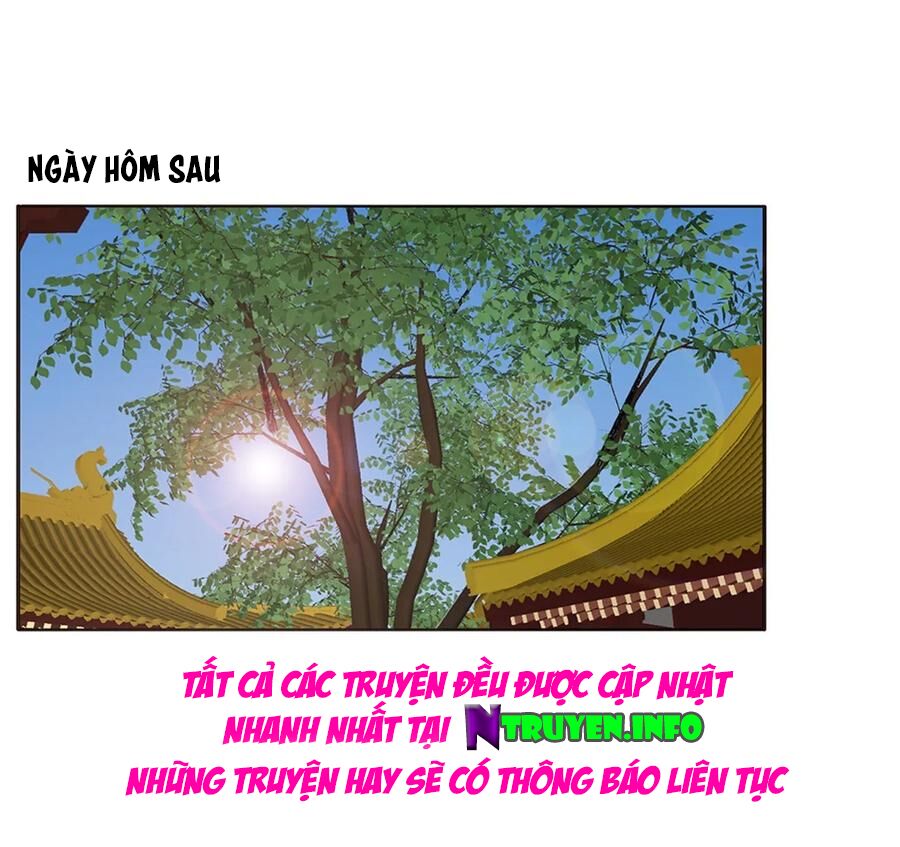 Thông Linh Phi: Chapter 611