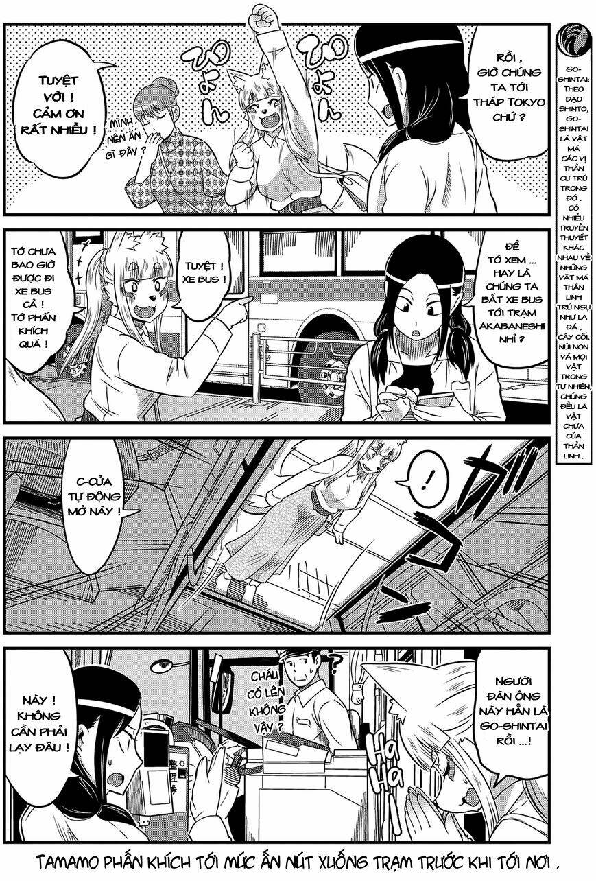 High School Inari Tamamo-Chan: Chapter 8