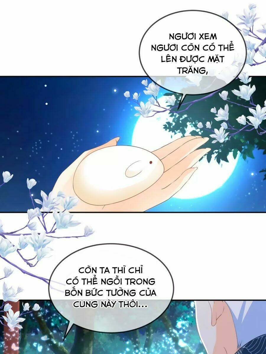 Trù Nương Hoàng Hậu: Chapter 13