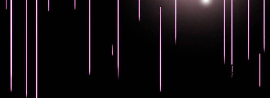 Bình Hoa Tốt Nhất: Chapter 5