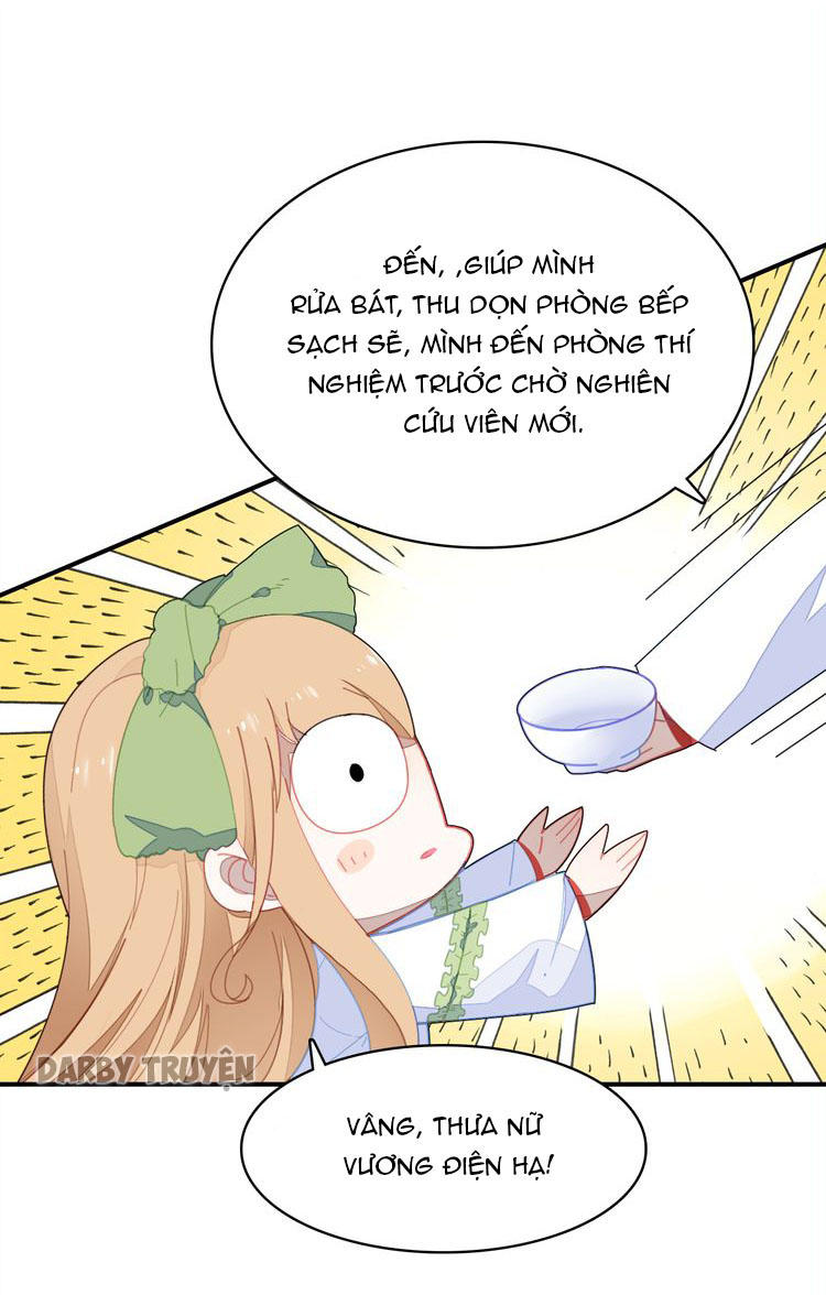 Ái Ngạo Kiều Long Vương Gia: Chapter 5