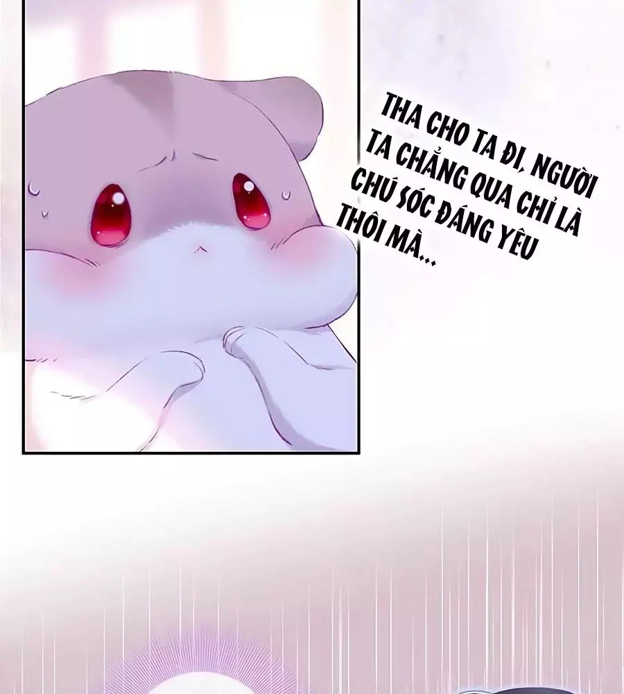 Kiều Nhi Hư Quá Nha: Chapter 8