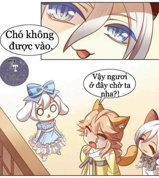 Dưới Móng Vuốt Mèo: Chapter 8