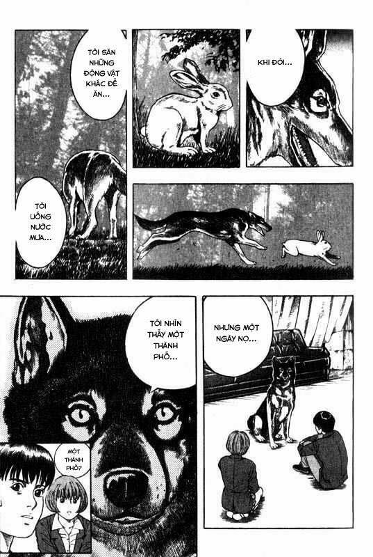 Inugami: Chapter 3