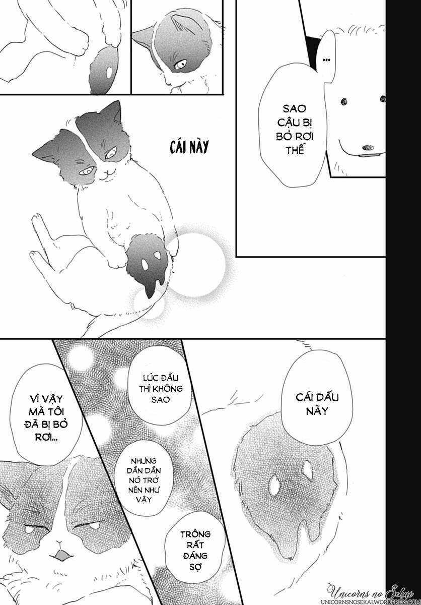 Kimi To Wonderland: Chapter 5