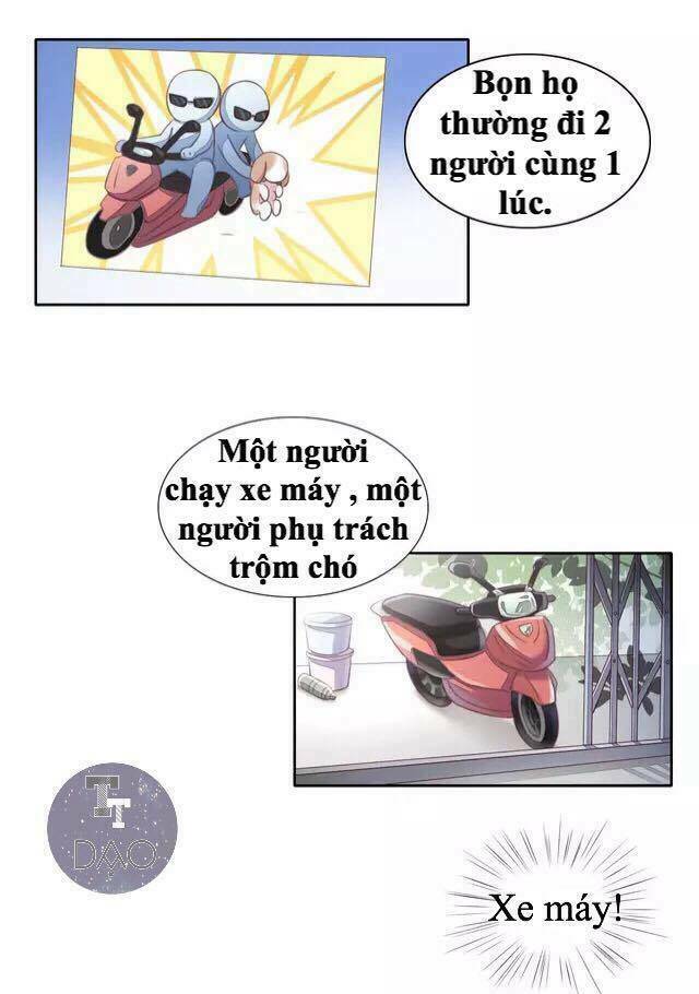 Dưới Móng Vuốt Mèo: Chapter 14