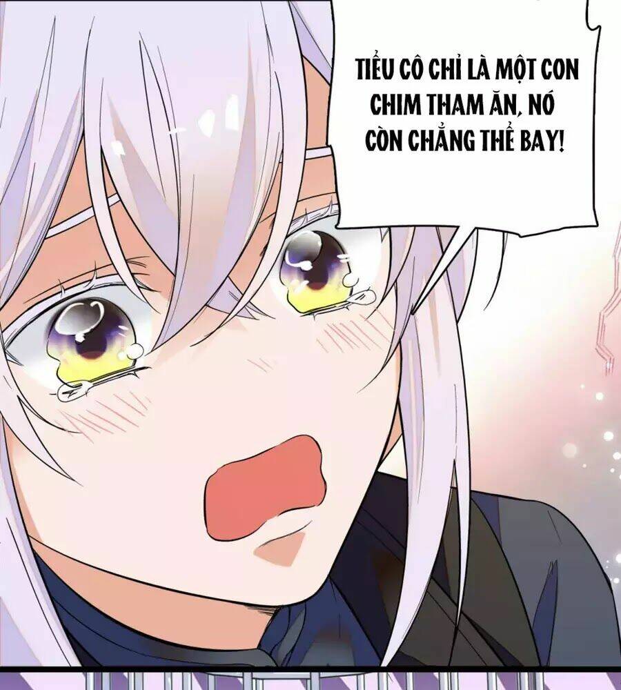 Huyết Túc Khế Ứớc: Chapter 5