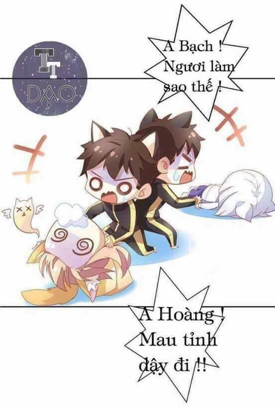 Dưới Móng Vuốt Mèo: Chapter 3