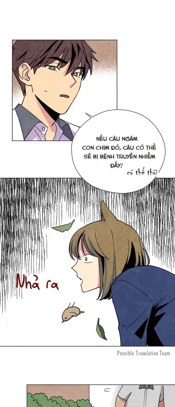 Tai Sói Và Mũ Đỏ: Chapter 3