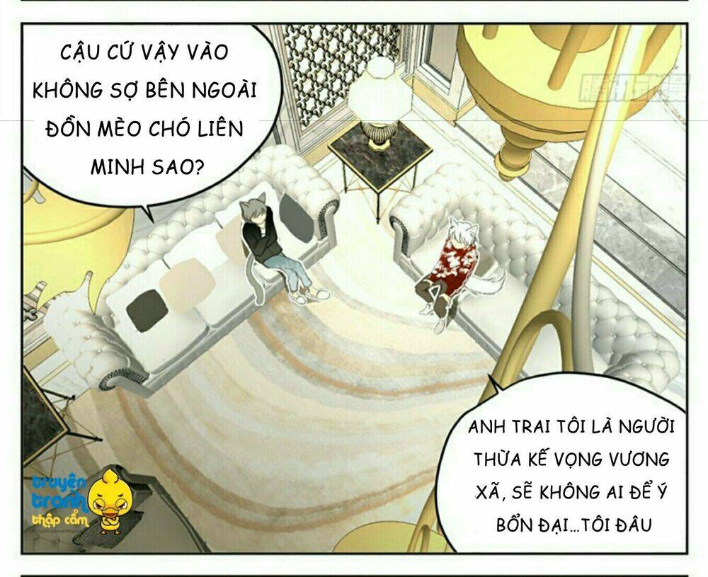 Cứu Mạng! Loài Mèo Thống Trị Thế Giới Rồi!: Chapter 32