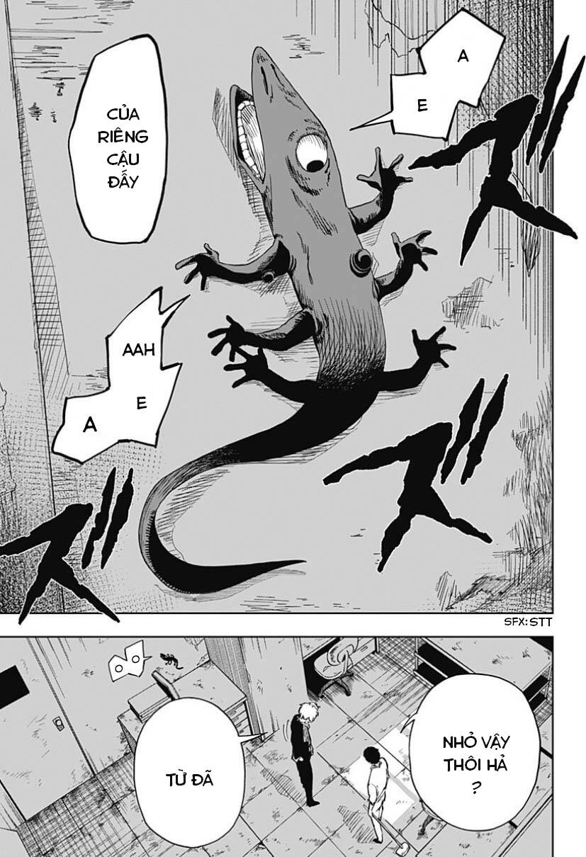Stage S: Chapter 5