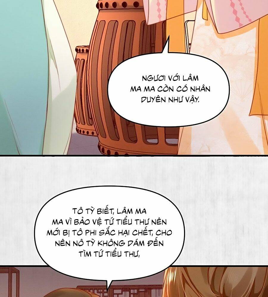 Hoạn Phi Hoàn Triều: Chapter 95