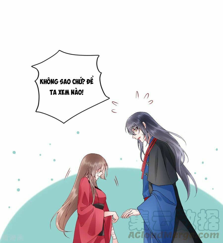 Hoàng Phi 9000 Tuổi: Chapter 78