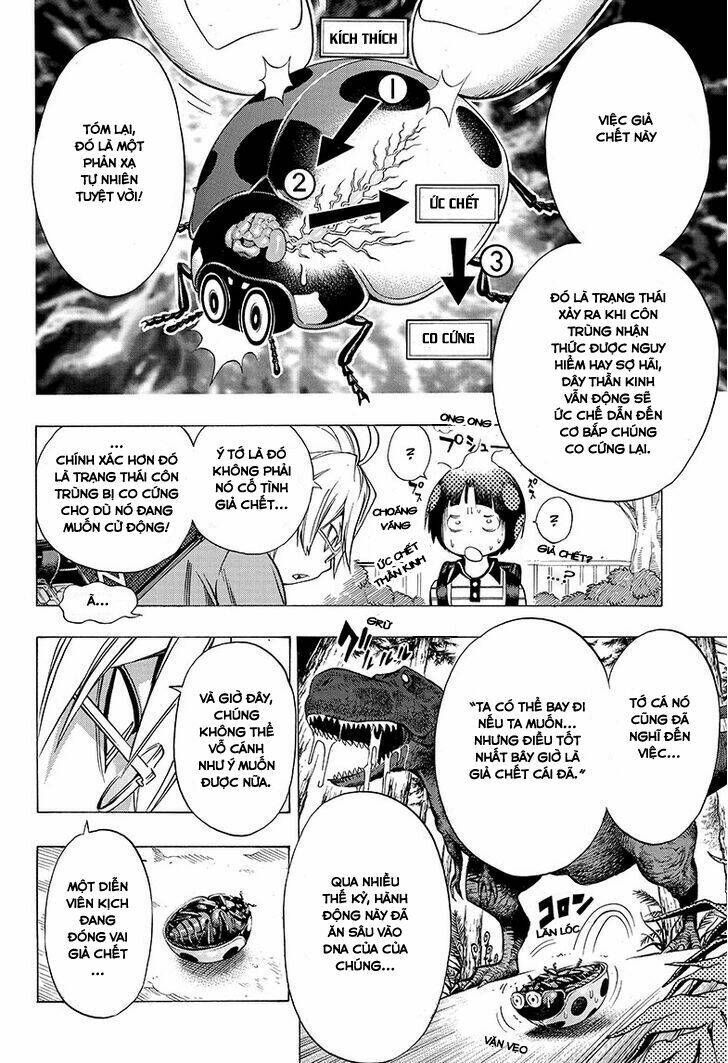 Gakkyuu Houtei: Chapter 1.2