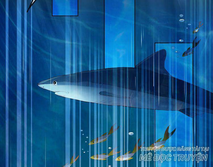 Giai Điệu Của Sự Va Chạm: Chapter 4