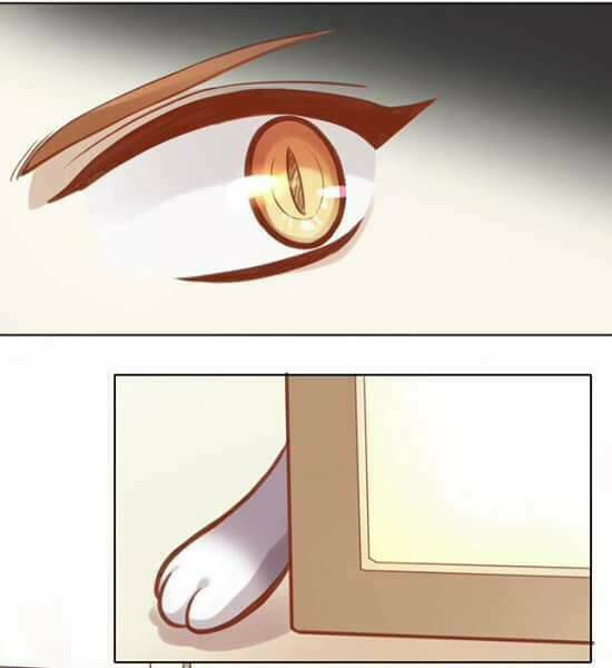 Dưới Móng Vuốt Mèo: Chapter 8
