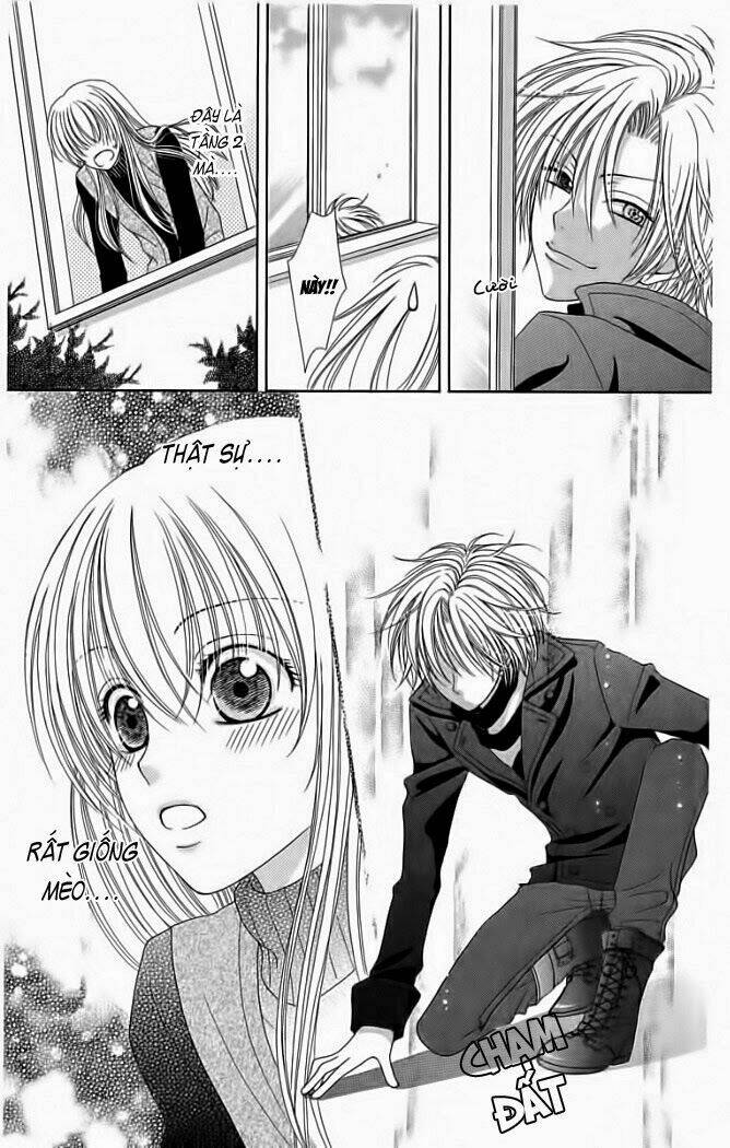 My Dear Cat: Chapter 1