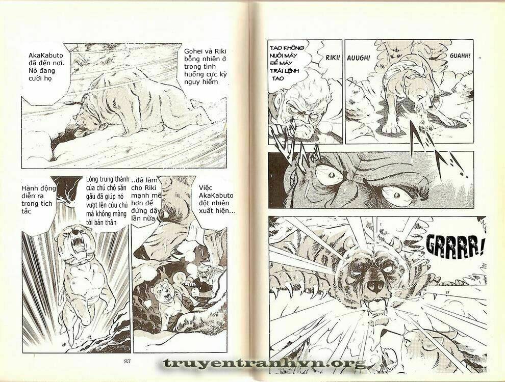 Chú Chó Có Nghĩa - Ginga Nagareboshi Gin: Chapter 2