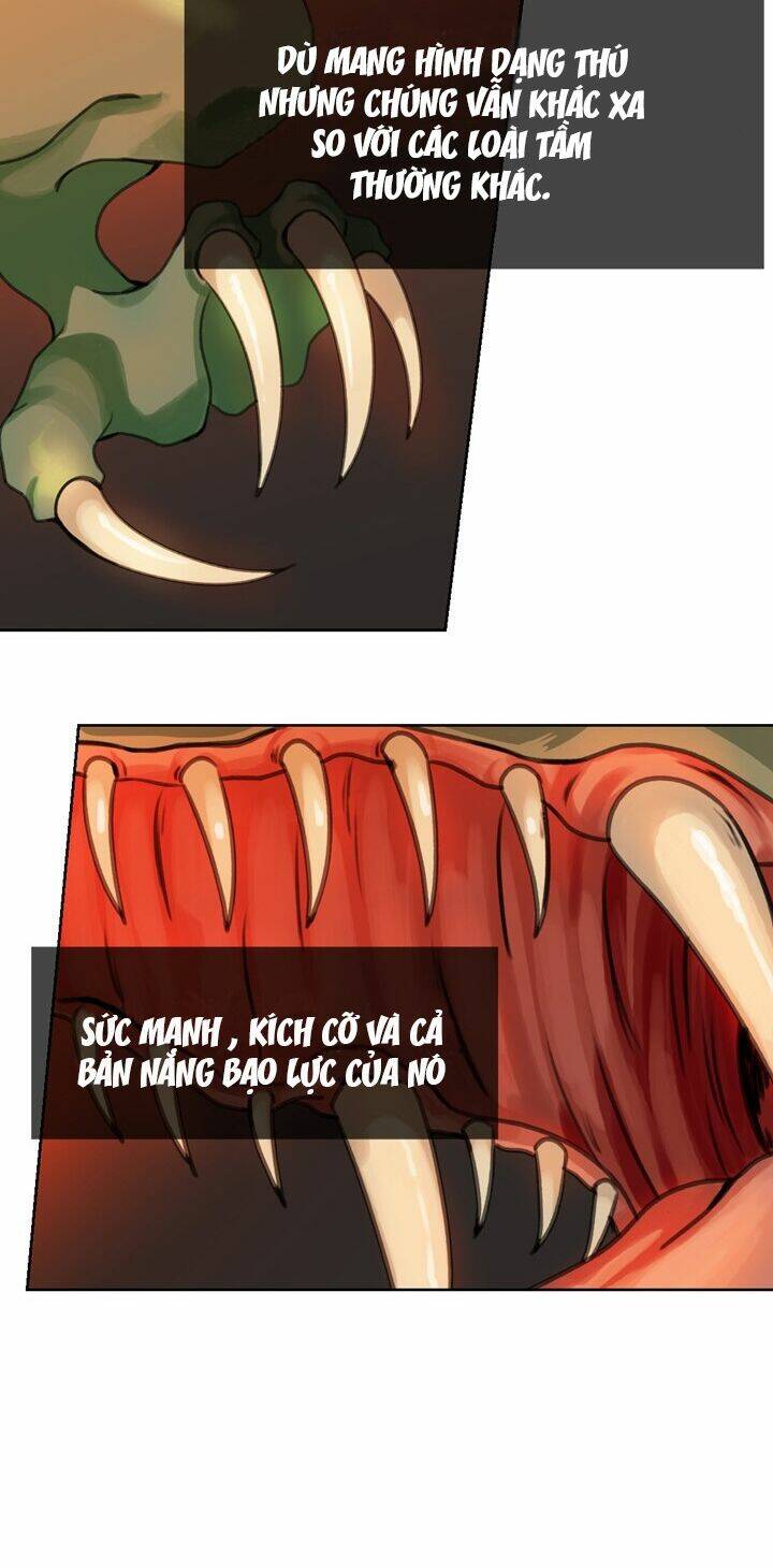 Amina - Nữ Thần Đèn: Chapter 5