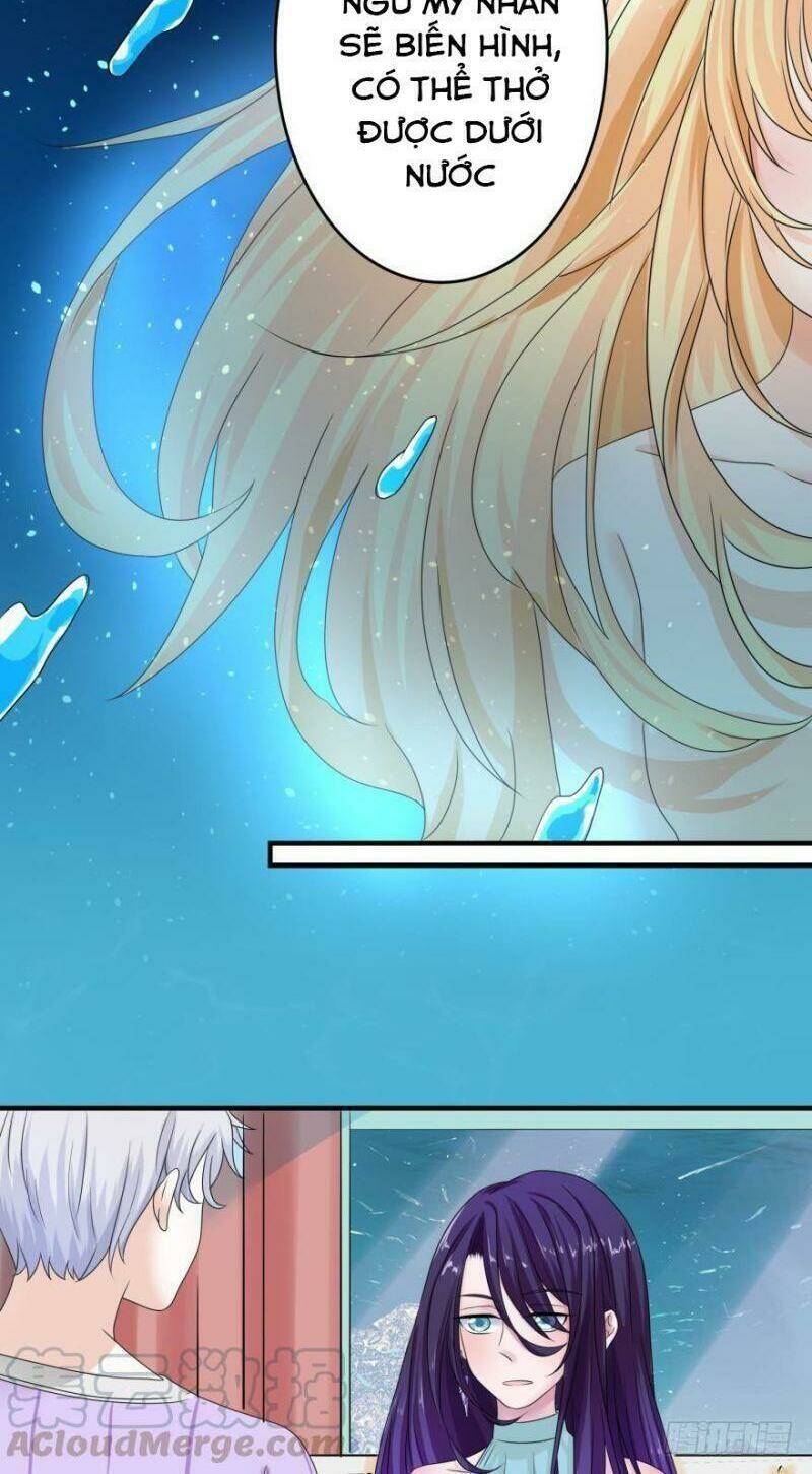 Nhân Ngư Học Trưởng, Đừng Ôm Ta!: Chapter 51