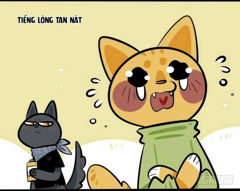 Đời Không Như Mình Tưởng: Chapter 16