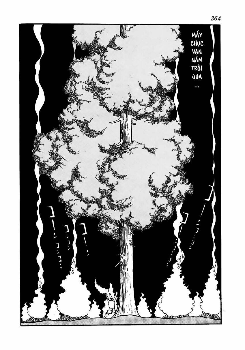 Chim Lửa: Chapter 29