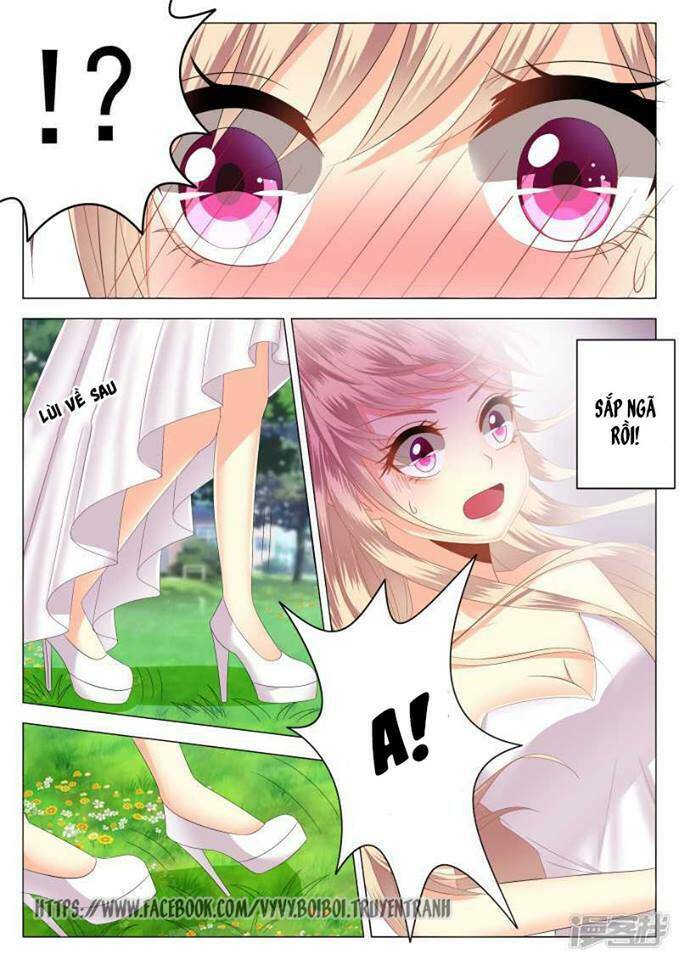 Phúc Hắc Hội Trưởng Thị Đầu Lang: Chapter 1