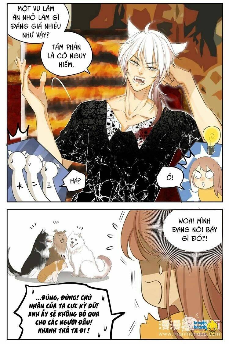 Cứu Mạng! Loài Mèo Thống Trị Thế Giới Rồi!: Chapter 19
