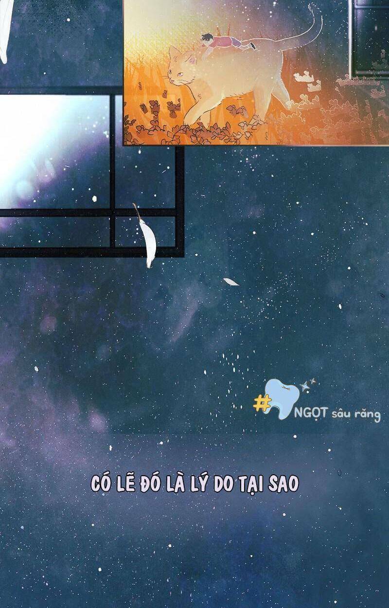 Giấc Mộng Đêm Hè: Chapter 1.1