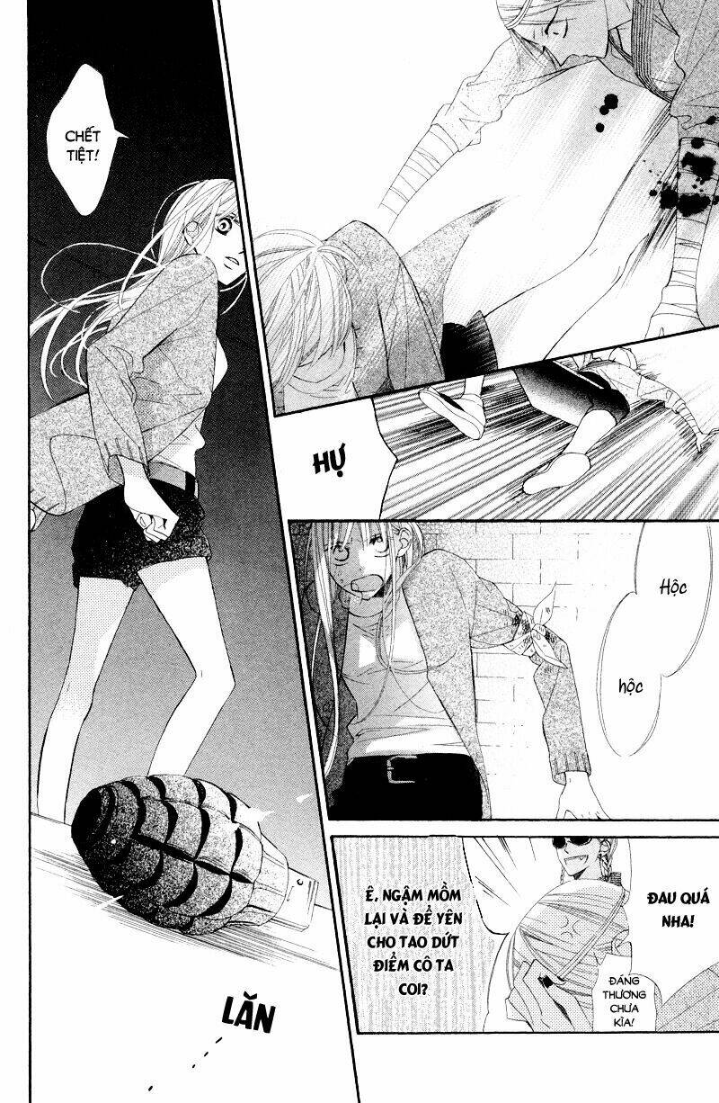 Hoa Trong Bão: Chapter 9