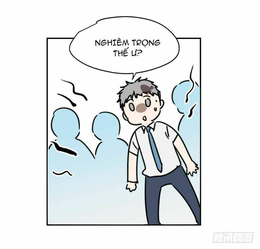 Truy Bắt Ngao Ngao: Chapter 4